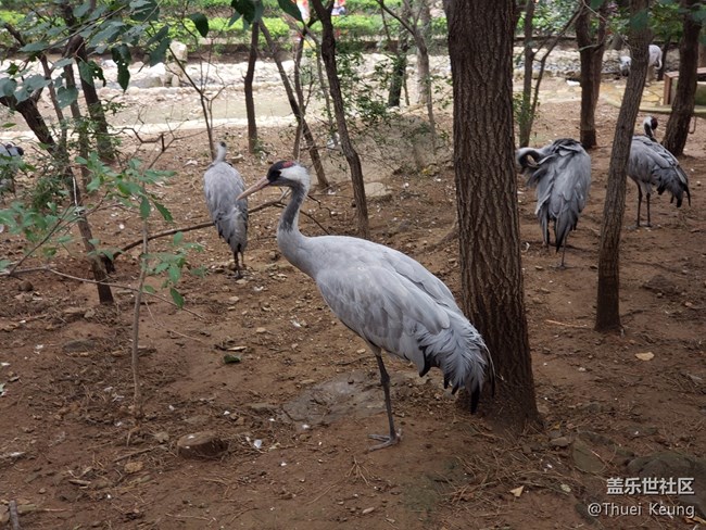 動(dòng)物園隨拍