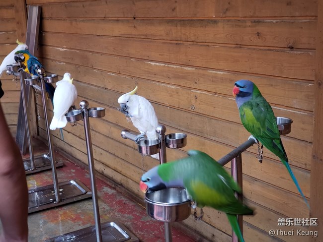 動(dòng)物園隨拍