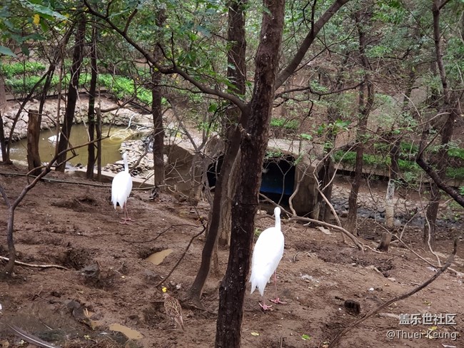 動(dòng)物園隨拍