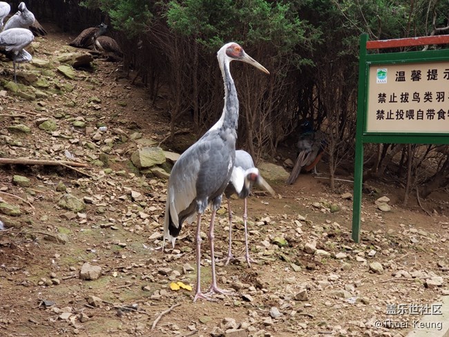 動(dòng)物園隨拍