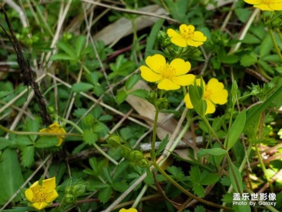 到山里面春游
