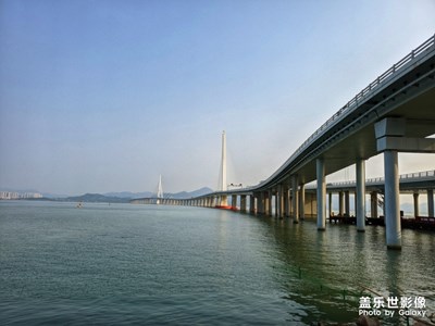 深圳灣0315