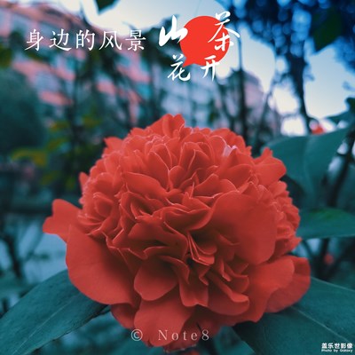 上下班的路上+身邊的風(fēng)景