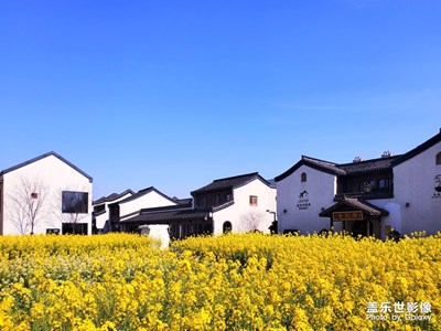 春暖花開！