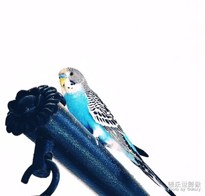 待到天朗氣清之時，再去做更多喜歡的事。