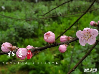 走，帶上春天