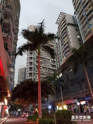 深圳現(xiàn)在的早上10點鐘