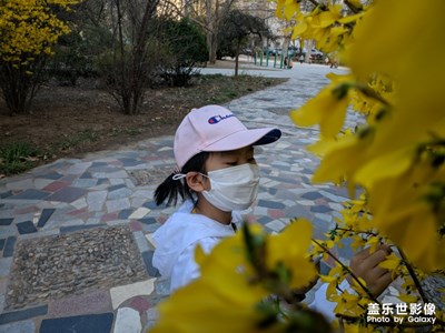 隨手拍-春暖花開，出來溜娃！