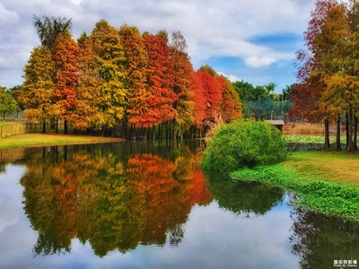 廈門的冬天也可以這么美