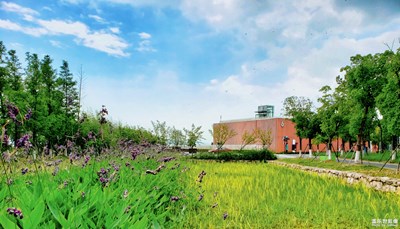 【賞春】+復(fù)蘇