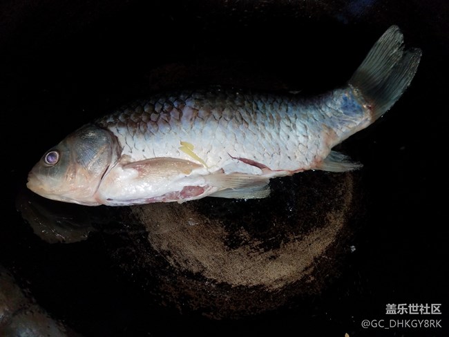 【宅家廚藝大PK】+鯽魚燉豆腐