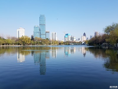 【賞春】+春天的公園