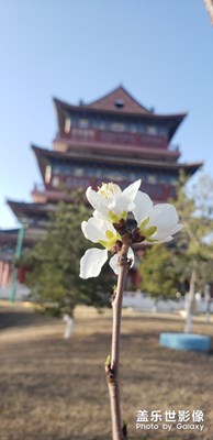 【賞春】+尋春