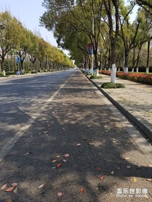 S8依舊厲害