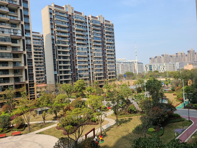 上樓頂，配置堆到頂——三星S20+體驗(yàn)