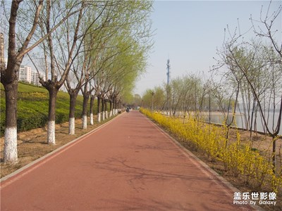 【賞春】健步途中賞春景