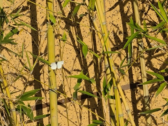 上樓頂，配置堆到頂——三星S20+體驗(yàn)