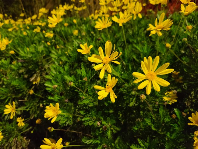 上樓頂，配置堆到頂——三星S20+體驗(yàn)