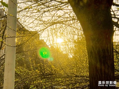 城中春