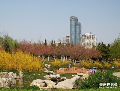 【賞春】周末小廣場