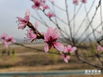 春意