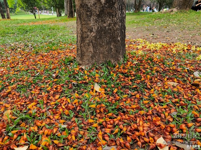 《每周星鮮事》第23期:春天來了