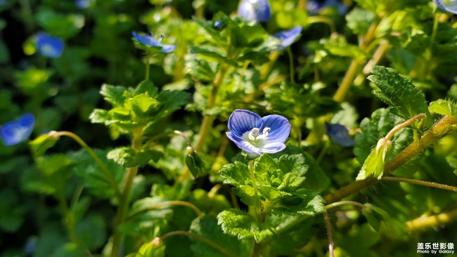 《每周星鮮事》第23期:春天來了