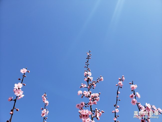 《每周星鮮事》第23期:春天來了