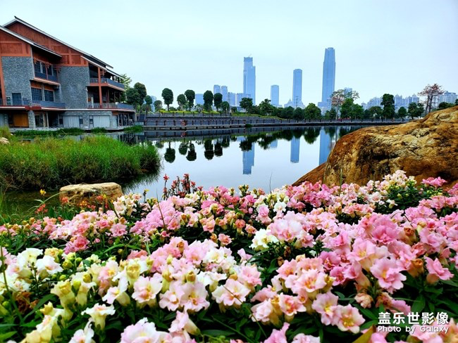 《每周星鮮事》第23期:春天來了