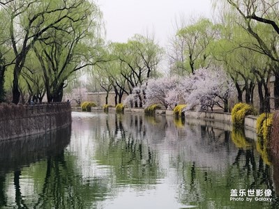 春至頤和園