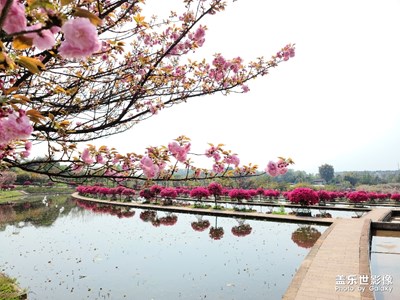 春暖花開