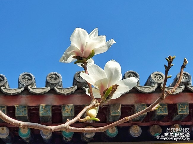 《每周星鮮事》第23期:春天來了