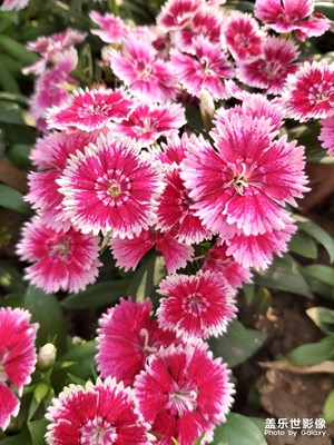春暖花開