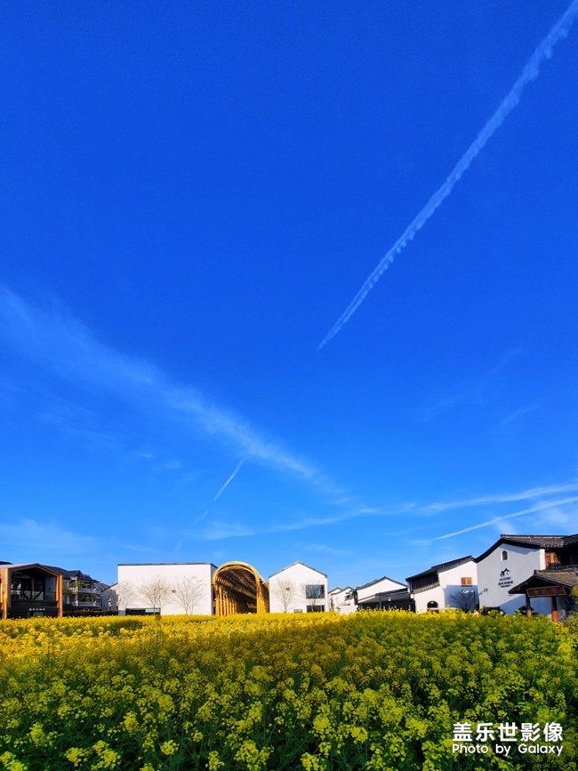 《每周星鮮事》第23期:春天來了