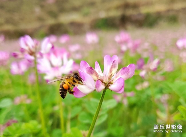 《每周星鮮事》第23期:春天來了