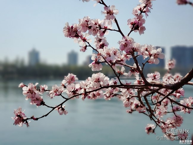 《每周星鮮事》第23期:春天來了