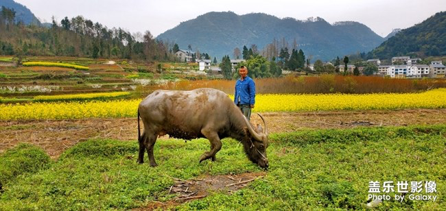 《每周星鮮事》第23期:春天來了