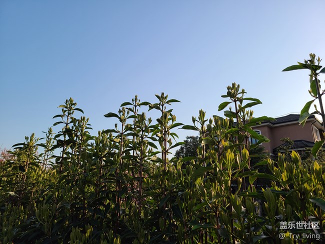 S20+ 5G體驗(yàn)——臻于至善的新旗艦 S20+ 5G體驗(yàn)——臻于至善的新旗艦