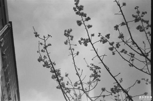 重回舊時代 黑白膠卷記錄