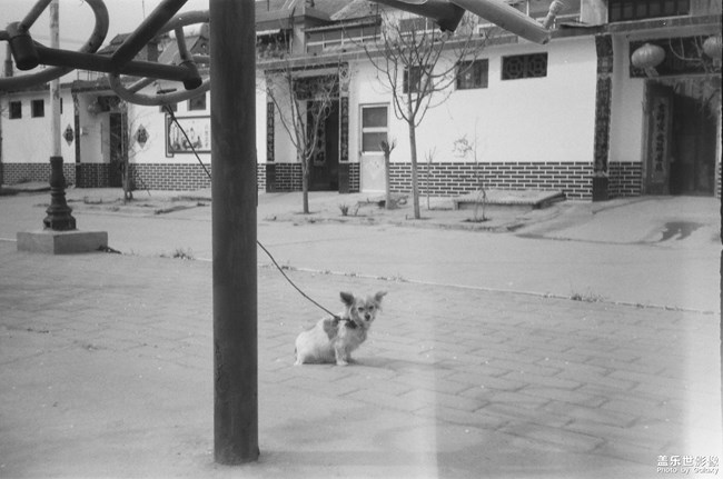 重回舊時代 黑白膠卷記錄