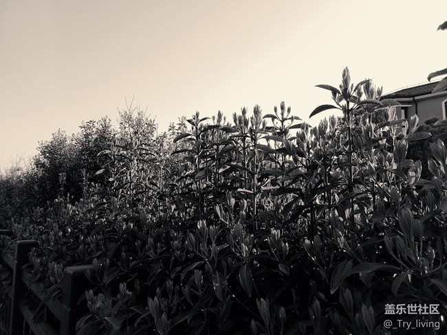 S20+ 5G體驗(yàn)——臻于至善的新旗艦 S20+ 5G體驗(yàn)——臻于至善的新旗艦