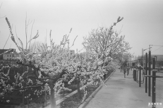 重回舊時代 黑白膠卷記錄