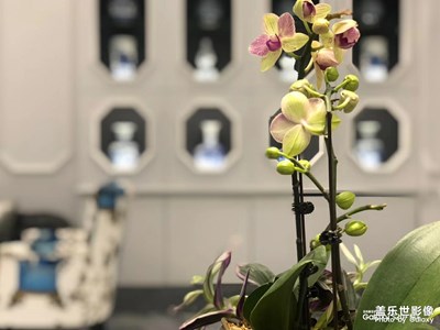 春暖花開(kāi)