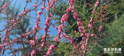 s20u試拍留念！春暖花開，值得期待