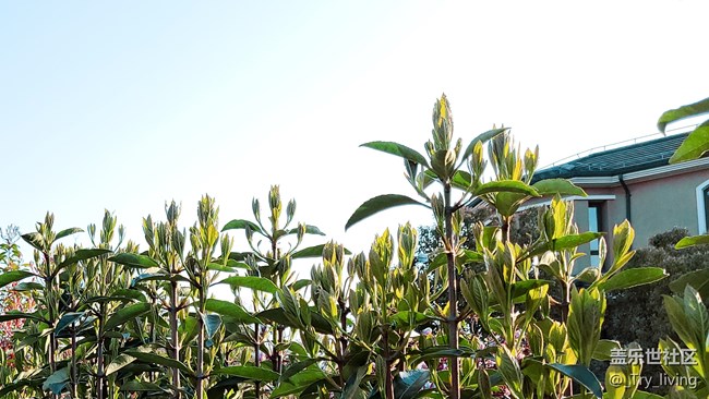 23 AI.jpg S20+ 5G體驗(yàn)——臻于至善的新旗艦