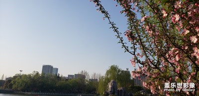 春意盎然