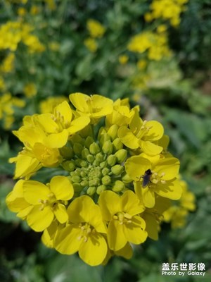 春天到了！春暖花開(kāi)