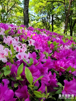 春暖花開