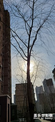 隨手拍2