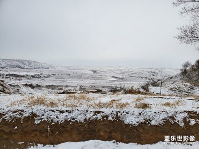 三月飛雪，